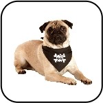 Accessoires