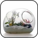 Terrarium
