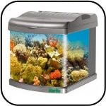 Aquarium