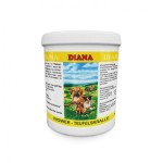 DIANA Nahrungsergänzung INGWER - TEUFELSKRALLE 600g...