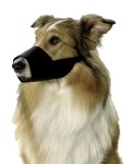 KARLIE Maulkorb NYLON schwarz für Hunde