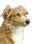 KARLIE Maulkorb NYLON beige für Hunde