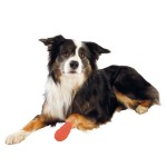 TRIXIE Hygiene BITTERSTOFF-BANDAGEN selbsthaftend 5 cm/4,5 m 4 Stück für Hunde