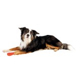 TRIXIE Hygiene BITTERSTOFF-BANDAGEN selbsthaftend 5 cm/4,5 m 4 Stück für Hunde
