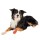 TRIXIE Hygiene BITTERSTOFF-BANDAGEN selbsthaftend 5 cm/4,5 m 4 Stück für Hunde