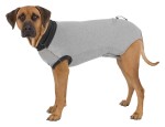 TRIXIE Hygiene OP-BODY grau Baumwolle/Elasthan...