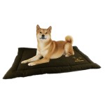 HOLLAND ANIMAL CARE Matte BODYGUARD TRANSPORT Braun...