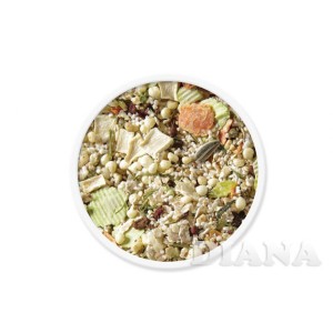 DIANA Ergänzungsfutter PASTINAKEN-MÜSLI glutenfrei  für Hunde 700 g