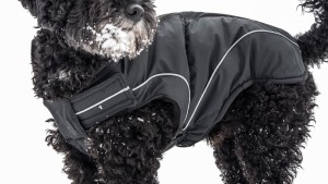 DOGBITE Hundewinterjacke MATT Fexible-System schwarz Mantel für Hunde