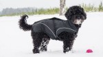 DOGBITE Hundewinterjacke MATT Fexible-System schwarz Mantel für Hunde