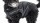 DOGBITE Hundewinterjacke MATT Fexible-System schwarz Mantel für Hunde