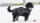 DOGBITE Hundewinterjacke MATT Fexible-System schwarz Mantel für Hunde