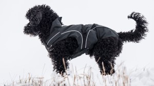 DOGBITE Hunderegenjacke MATT Fexible-System schwarz Mantel für Hunde