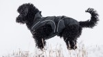 DOGBITE Hunderegenjacke MATT Fexible-System schwarz...