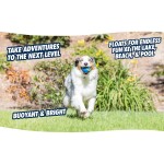CHUCKIT Spielzeug ULTRA Squeaker Ball für Hunde