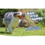 CHUCKIT Spielzeug ULTRA Squeaker Ball für Hunde
