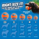 CHUCKIT Spielzeug ULTRA Squeaker Ball für Hunde small Ø 5cm