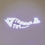 TRIXIE Spielzeug CATCH THE LIGHT LED pointer 8cm...