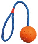 TRIXIE Spielzeug BALL AM SEIL Naturgumm ø 6cm/30cm...