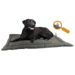 HOLLAND ANIMAL CARE Matte BODYGUARD TRANSPORT Grau...