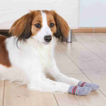 TRIXIE Socken HUNDESOCKEN Anti-Rutsch Baumwolle Elasthan...
