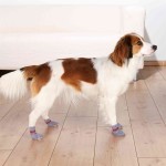 TRIXIE Socken HUNDESOCKEN Anti-Rutsch Baumwolle Elasthan XL 2 Stück grau