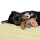 KONG® Spielzeug KONG DOG Plüsch WILD KNOTS strapazierfähig BÄR für Hunde