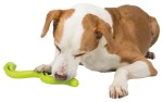 TRIXIE Beschäftigung SNACK-SNAKE TPR 42cm mit Stimme für Hunde