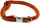 DINOLEINE Halsband KLICK-HALSBAND Polyester 11mm Größe L/45-70cm für Hunde
