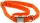 DINOLEINE Halsband KLICK-HALSBAND Polyester 8mm Größe M/35-55cm für Hunde