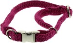 DINOLEINE Halsband KLICK-HALSBAND Polyester 11mm Größe S/30-45 cm für Hunde