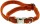 DINOLEINE Halsband KLICK-HALSBAND Polyester 11mm Größe S/30-45 cm für Hunde