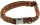 DINOLEINE Halsband KLICK-HALSBAND Polyester 8mm Größe S/30-45cm für Hunde