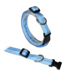 KOCH Halsband KLICK-HALSBAND mit Kennfäden 25mm 45-65cm gepolstert für Hunde