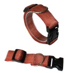 KOCH Halsband KLICK-HALSBAND mit Kennfäden 40mm 47-63cm gepolstert für Hunde