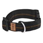 KOCH Halsband KLICK-HALSBAND mit Kennfäden 40mm 47-63cm gepolstert für Hunde