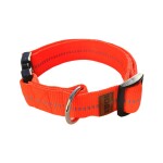 KOCH Halsband KLICK-HALSBAND mit Kennfäden 40mm 47-63cm gepolstert für Hunde