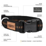 KOCH Halsband KLICK-HALSBAND mit Kennfäden 25mm 30-45cm Farbe Beige für Hunde