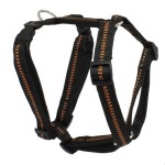 KOCH Geschirr NYLONGESCHIRR mit Kennfäden gepolstert 20mm 45-60cm für Hunde