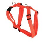 KOCH Geschirr NYLONGESCHIRR mit Kennfäden gepolstert 25mm 50-72cm für Hunde