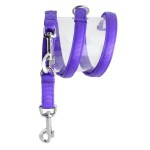 KOCH Leine NYLONLEINE UNI verstellbar gepolstert 20mm 200cm für Hunde