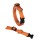 KOCH Halsband KLICK-HALSBAND UNI 25mm 45-65cm gepolstert für Hunde