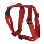 KOCH Geschirr NYLON-GESCHIRR UNI 20mm 58-87cm gepolstert...