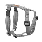 KOCH Geschirr NYLON-GESCHIRR UNI 20mm 58-87cm gepolstert für Hunde