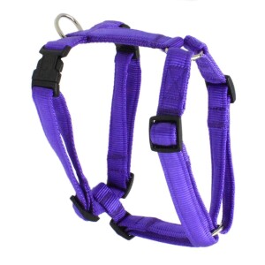 KOCH Geschirr NYLON-GESCHIRR UNI 25mm 86-125cm gepolstert für Hunde
