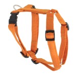 KOCH Geschirr NYLON-GESCHIRR UNI 25mm 86-125cm gepolstert...