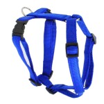 KOCH Geschirr NYLON-GESCHIRR UNI 25mm 86-125cm gepolstert für Hunde