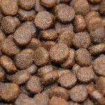 CRAZYPET® Trockenfutter LACHS mit Forelle kleine Rasse getreidefrei Hunde 2kg