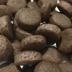 CRAZYPET® Trockenfutter LACHS mit Forelle große Rasse getreidefrei für Hunde