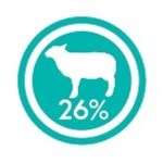 CRAZYPET® Trockenfutter LAMM Süßkartoffel kleine Rasse getreidefrei Hunde 2kg